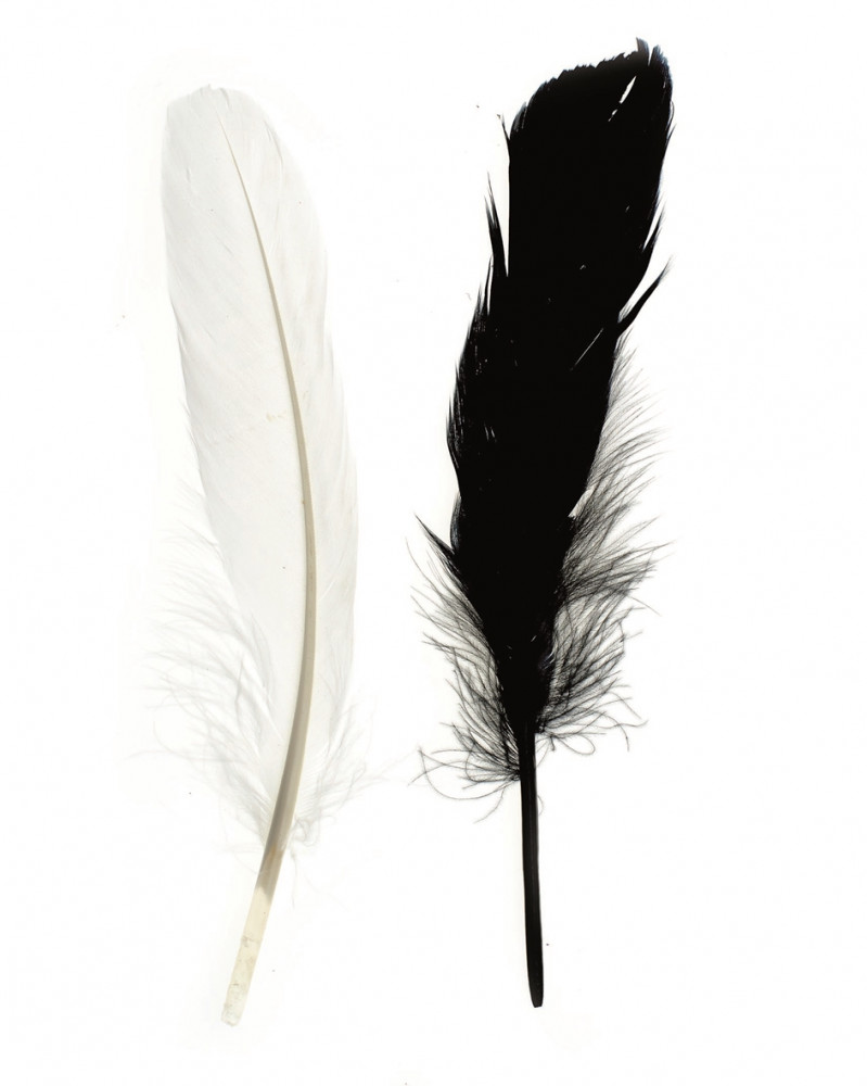 Indian feathers 16cm app.15pcs black/white