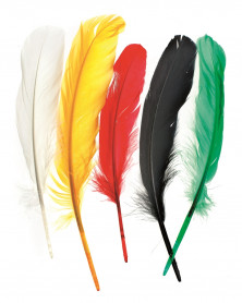 Indian feathers 16cm app.15pcs Mix