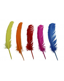 Indian feathers, multicolor 5pcs, 28-30cm